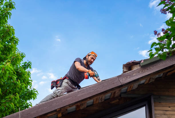 Best Roof Coating and Sealing  in Rodney Village, DE
