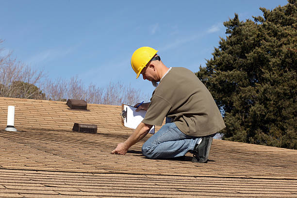Best Roof Maintenance and Cleaning  in Rodney Village, DE